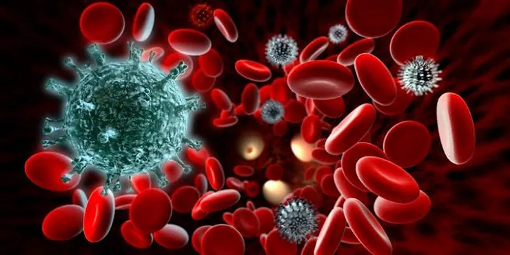 8078b2_f96b66342fb84e76870ee4c30e322765~mv2